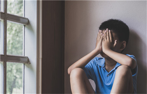 正規的青少年心理咨詢中心,心理輔導學校,青少年教育學校