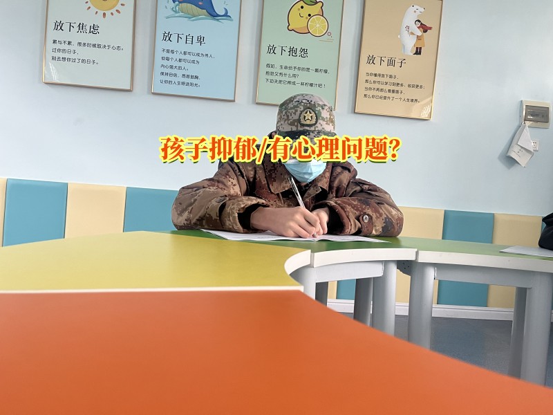 心理輔導(dǎo)學(xué)校,抑郁癥治療學(xué)校