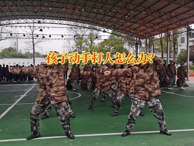 全封閉叛逆管教學(xué)校對(duì)孩子打架斗毆問(wèn)題的看法
