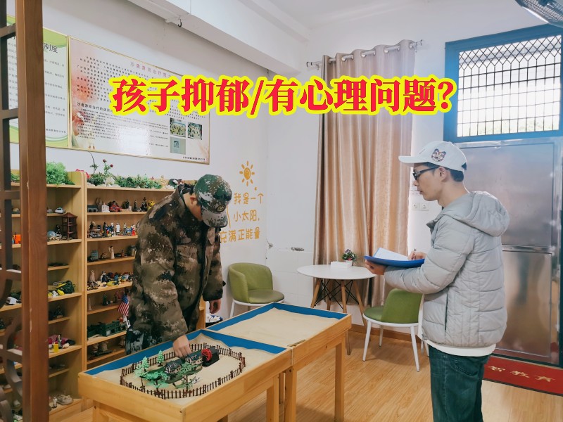 心理輔導學校,抑郁癥治療學校