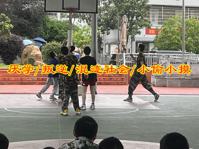 厭學兒子教育學校