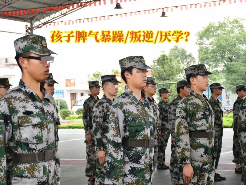 脾氣暴躁教育學校,青少年特訓學校