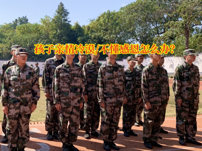 冷漠孩子教育學(xué)校,情感缺失孩子學(xué)校
