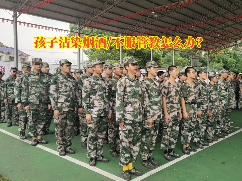 戒除煙酒學校,專門學校