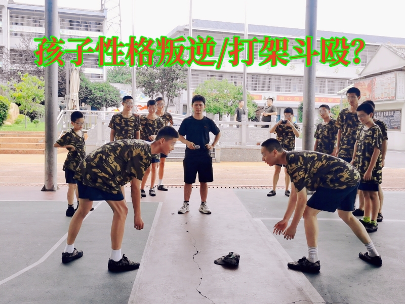 封閉式軍事化學(xué)校,軍事訓(xùn)練學(xué)校