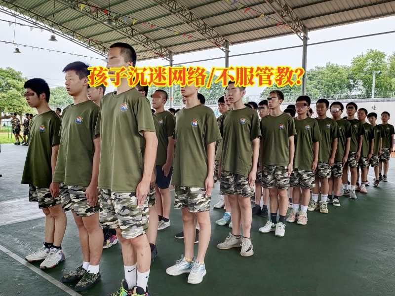 戒網癮學校,戒除網癮