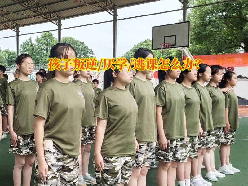 厭學孩子學校,厭學學校