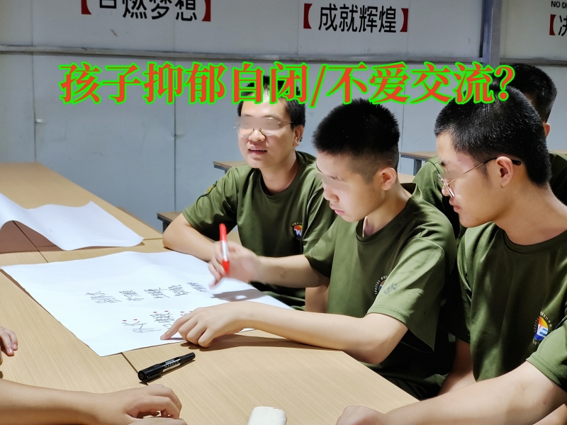 心理輔導(dǎo)學(xué)校,心理健康教育