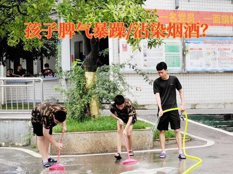 全封閉學校,青少年特訓學校