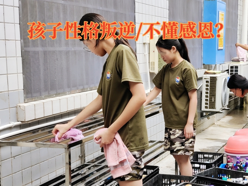 全封閉學(xué)校,青少年特訓(xùn)學(xué)校