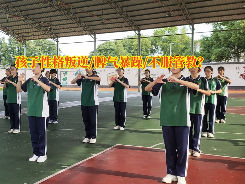 叛逆教育學校,叛逆孩子學校