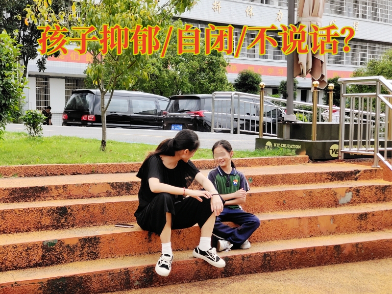 心理輔導(dǎo)學(xué)校,心理健康教育