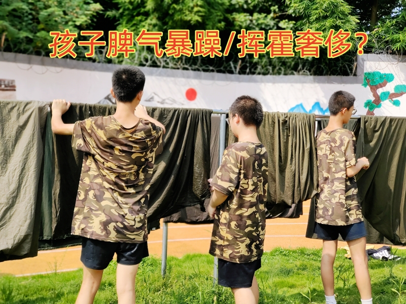 行為矯正學校,正規(guī)的青少年矯正學校