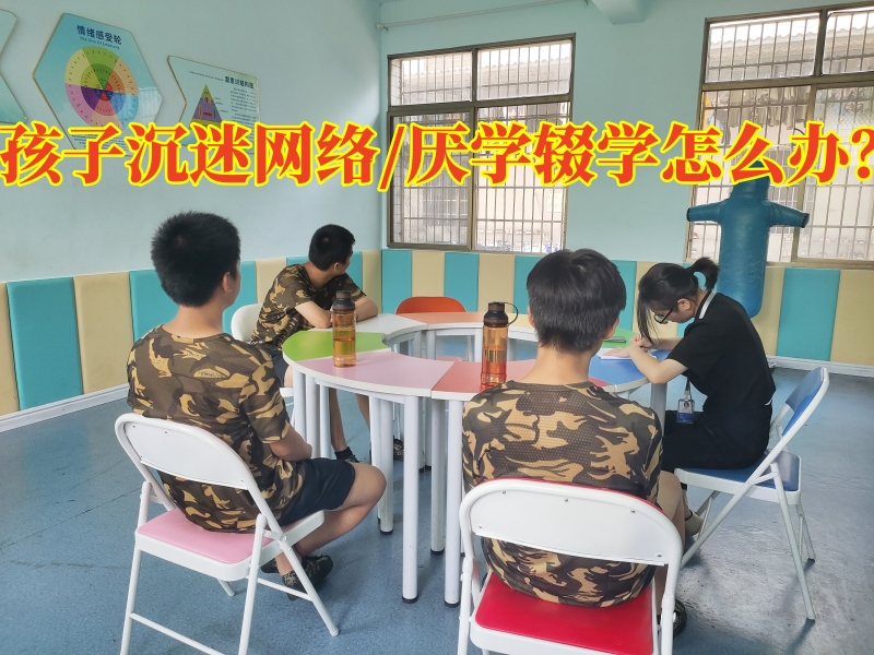 青少年特訓學校,特訓學校