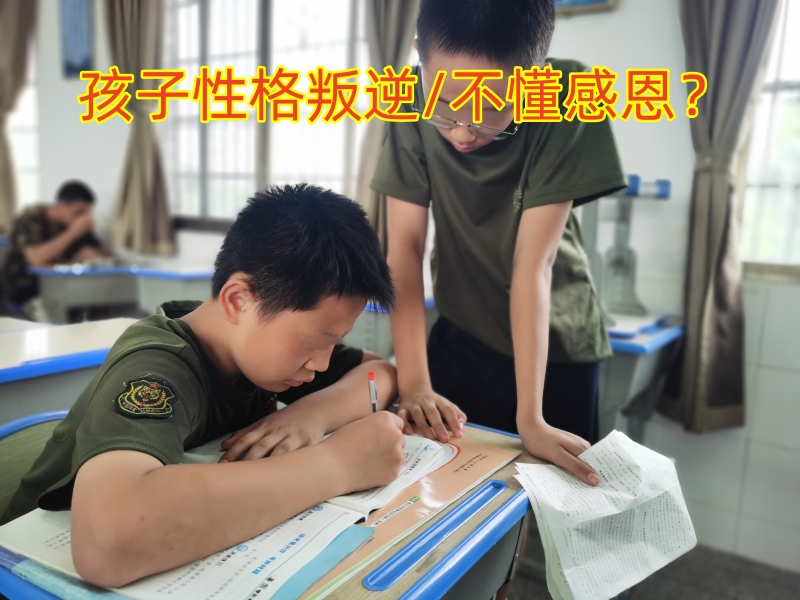 叛逆教育學(xué)校,叛逆孩子全封閉學(xué)校