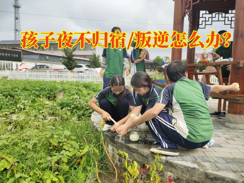 叛逆孩子學(xué)校,叛逆教育學(xué)校