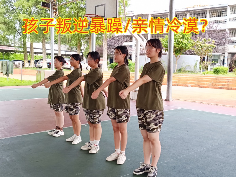 叛逆教育學校,青少年教育學校