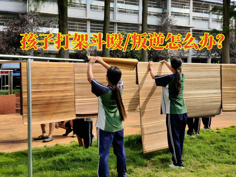 叛逆孩子學校,叛逆教育學校 叛逆孩子學校,叛逆教育學校