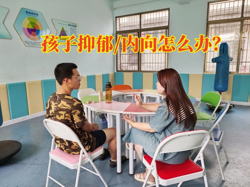 心理輔導(dǎo)學(xué)校,心理問(wèn)題孩子學(xué)校