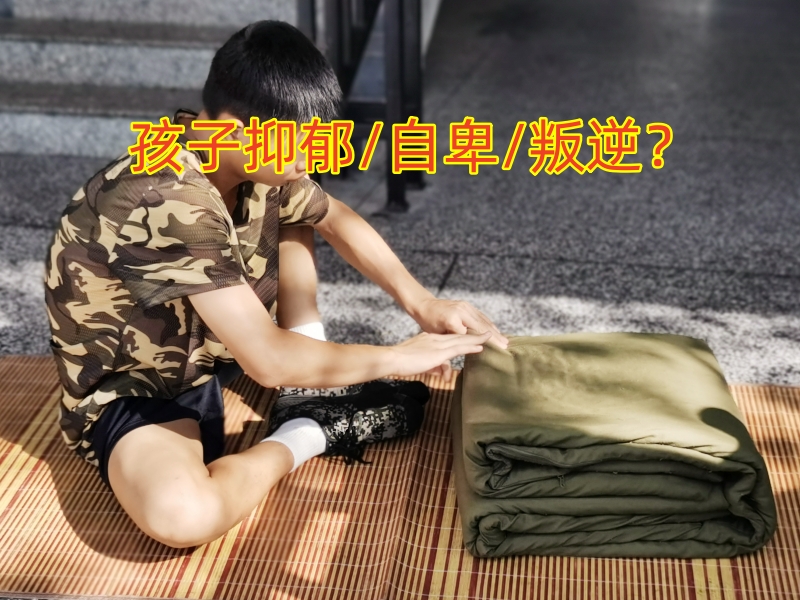 心理輔導學校,抑郁癥治療學校