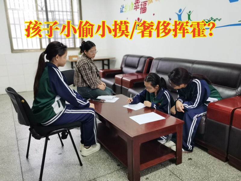 行為矯正學(xué)校,正規(guī)的青少年矯正學(xué)校