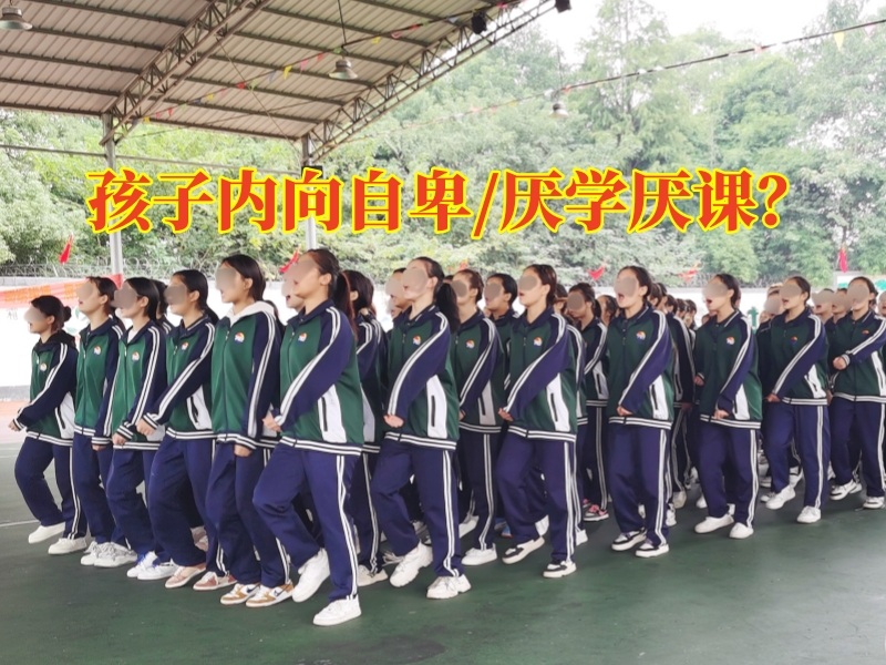 心理健康教育,心理輔導學校