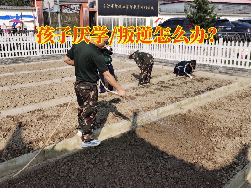厭學孩子學校,孩子厭學教育學校