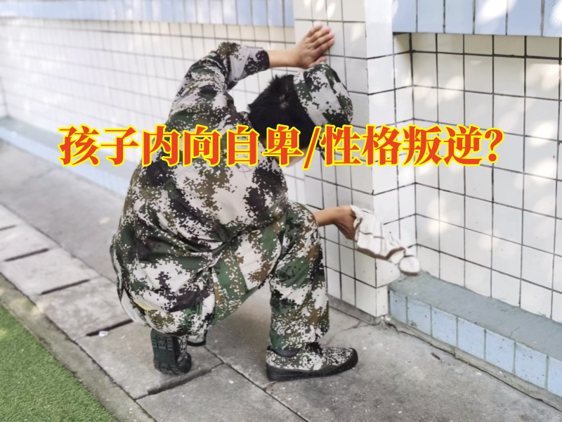 心理輔導(dǎo)學(xué)校,心理問題孩子學(xué)校