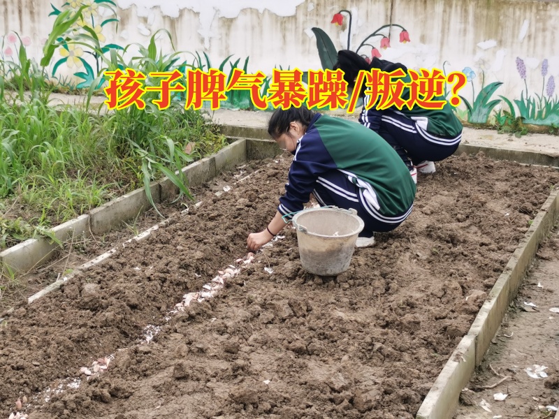 衡陽少年管教學校建議這樣改善孩子脾氣暴躁