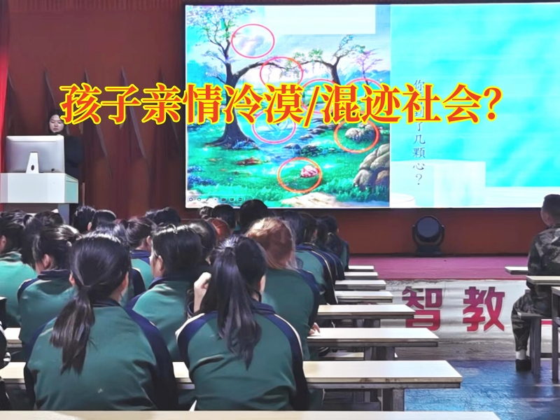 正規的封閉式學校分析孩子親情冷漠的原因
