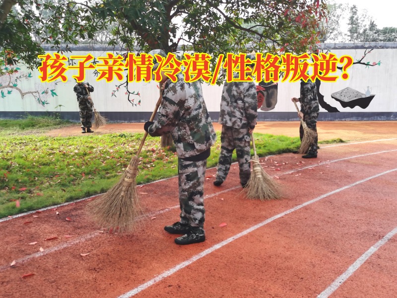 青少年學校對孩子親情冷漠的素質(zhì)教育，青少年學校