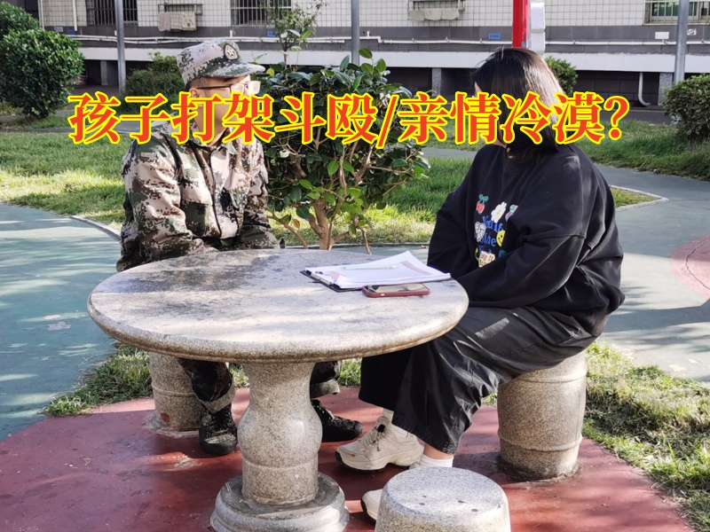 特訓(xùn)教育學(xué)校：孩子們?yōu)槭裁聪矚g打架？
