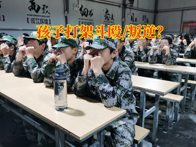 青少年管教中心對孩子打架斗毆的建議，青少年管教中心