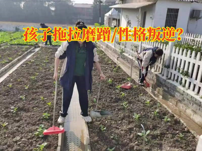 學(xué)生軍事化學(xué)校對(duì)付孩子的拖拉的三個(gè)方法，學(xué)生軍事化學(xué)校