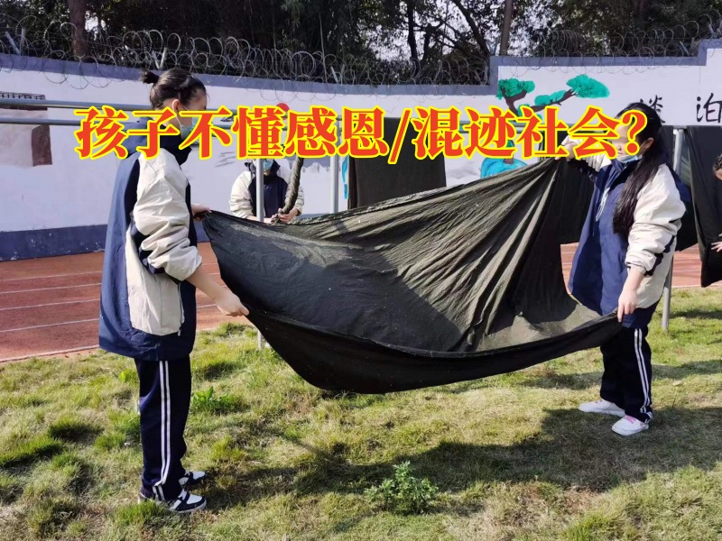 正規(guī)勵志教育學(xué)校：孩子長大后為何不懂得感恩？