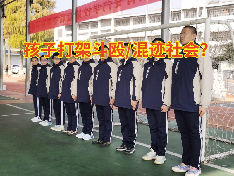 正規(guī)封閉式學校教家長正確教育初中男孩打架問題