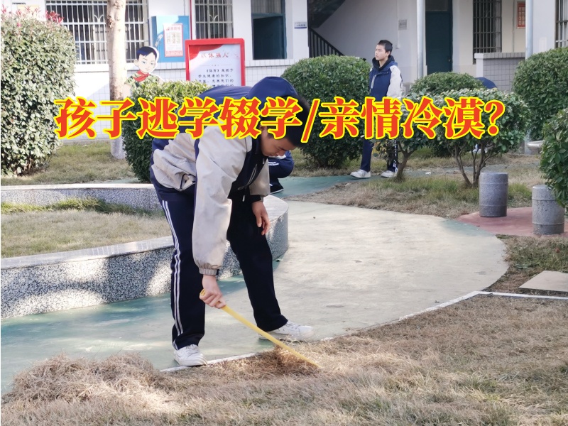 厭學孩子專業學校教家長這樣教育逃學的孩子