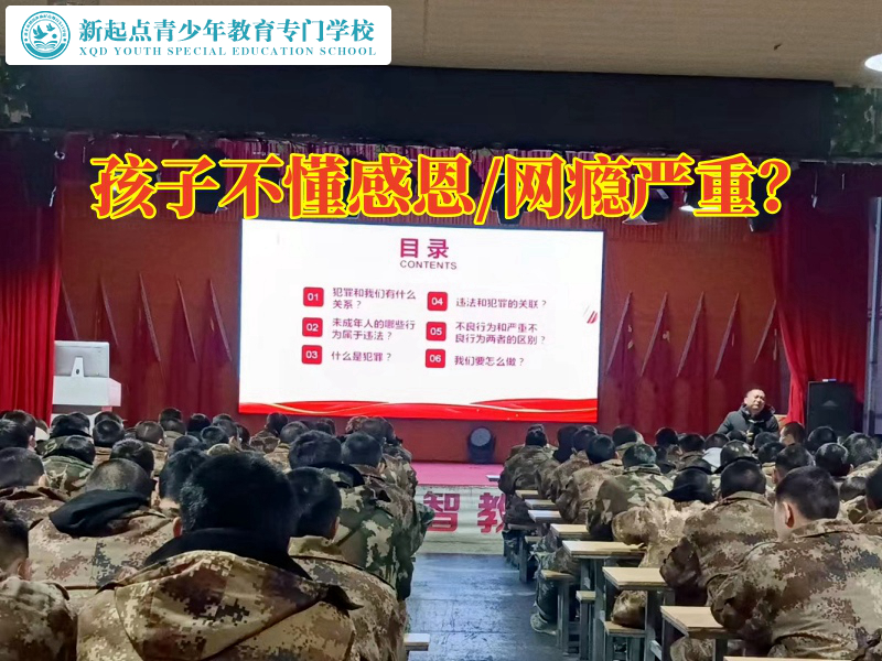 正規(guī)特訓(xùn)學(xué)校分析孩子懂得感恩的重要性