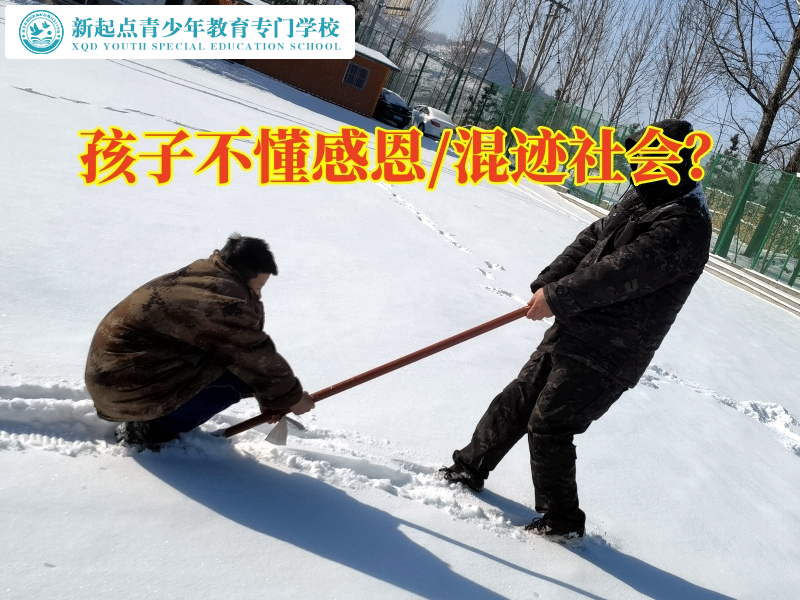 叛逆不聽話孩子學校這樣引導不懂感恩的孩子成長
