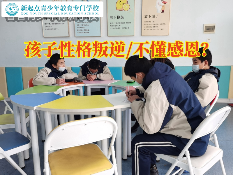 性格叛逆，正規特訓學校這樣解決孩子叛逆嚴重不聽話問題