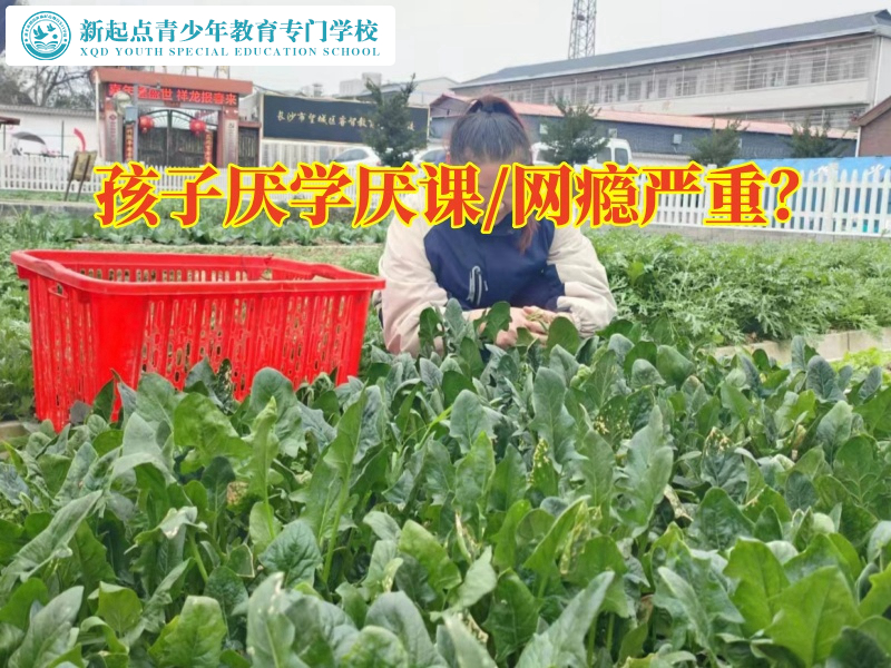 厭學(xué)厭課，厭學(xué)孩子學(xué)校解答孩子不讀書(shū)可以去什么學(xué)校問(wèn)題