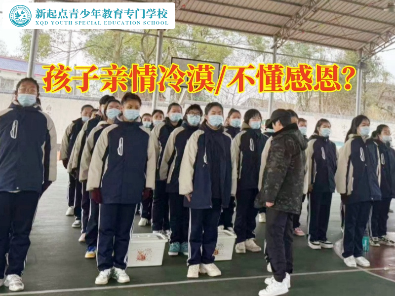 孩子管教學(xué)校孩子建議家長這樣處理孩子親情淡漠問題