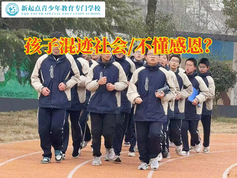 特訓(xùn)叛逆孩子學(xué)校教育混跡社會(huì)的孩子