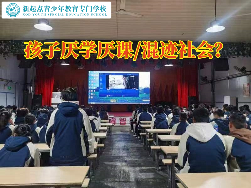 孩子厭學輔導學校探討孩子厭學的危害