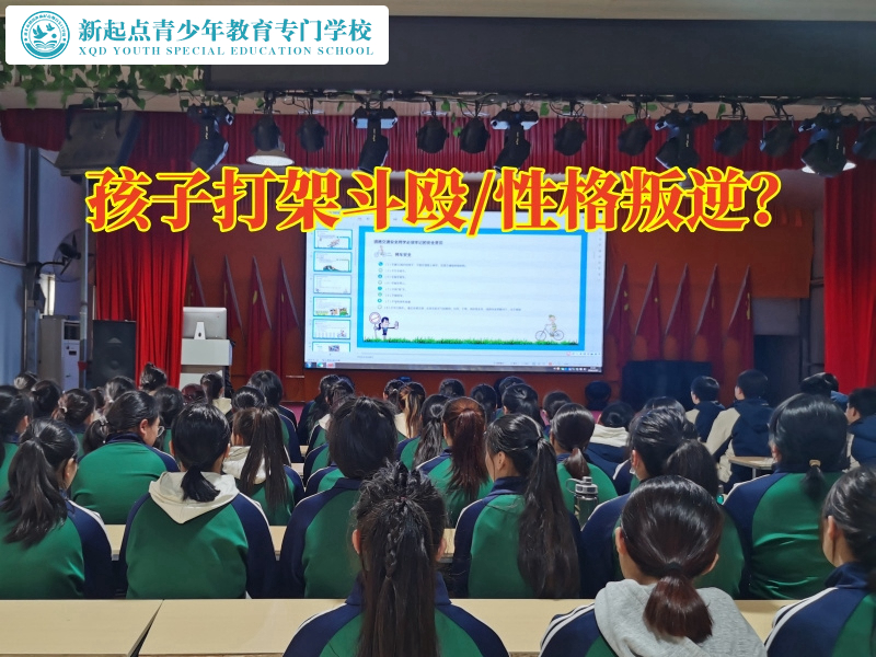 叛逆孩子教導(dǎo)學(xué)校分析孩子愛(ài)打架的原因