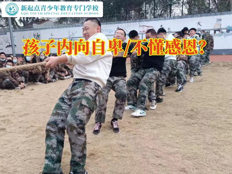 孩子軍事化管理封閉式學(xué)校教家長(zhǎng)教育自卑孩子