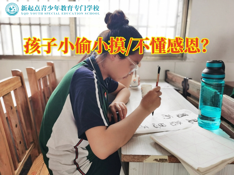 青少年叛逆正規(guī)全封閉機(jī)構(gòu)對(duì)孩子偷東西的建議