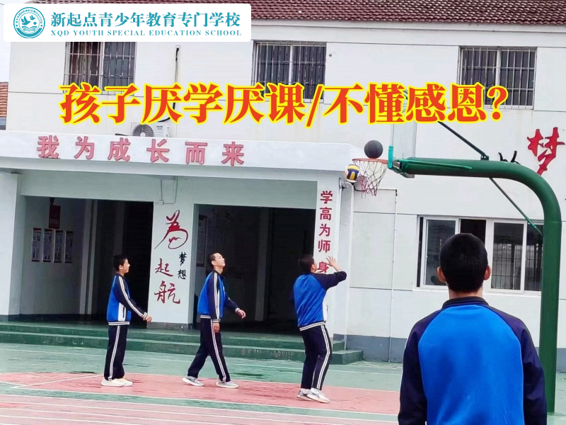 婁底叛逆專門學校對孩子不寫作業的建議