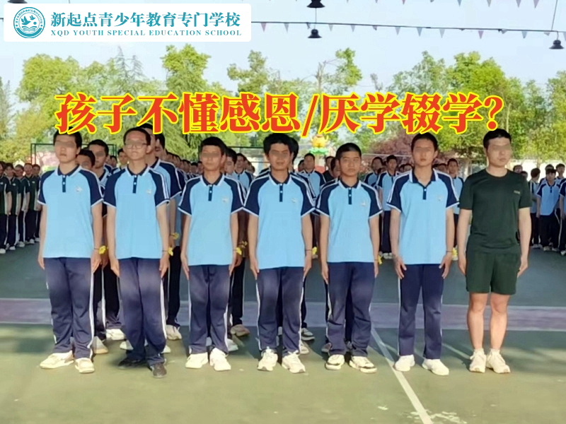 青少年叛逆矯正學校幫助不懂感恩的孩子成長