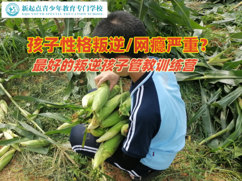 最好的叛逆孩子管教訓練營管教女孩叛逆 最好的叛逆孩子管教訓練營管教女孩叛逆